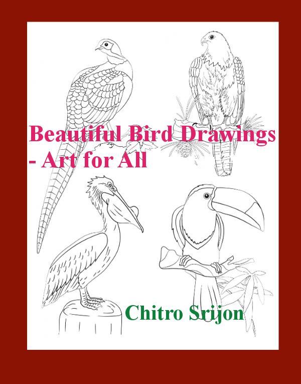 Beautiful Bird Drawings