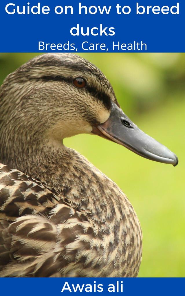 How to breed ducks: beginner‘s guide with everything you need to know with many images for maximum compression.