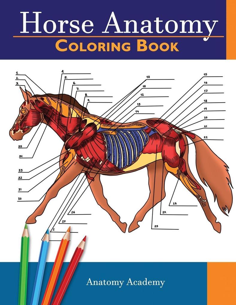 muze Publishing Horse Anatomy Coloring Book