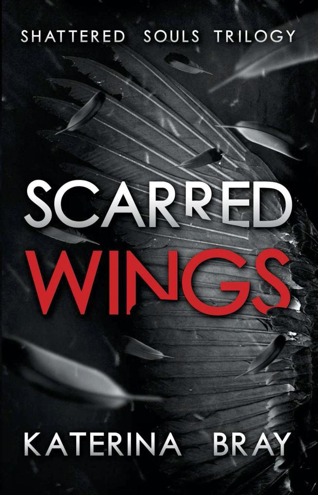 Scarred Wings (Shattered Souls Trilogy #2)