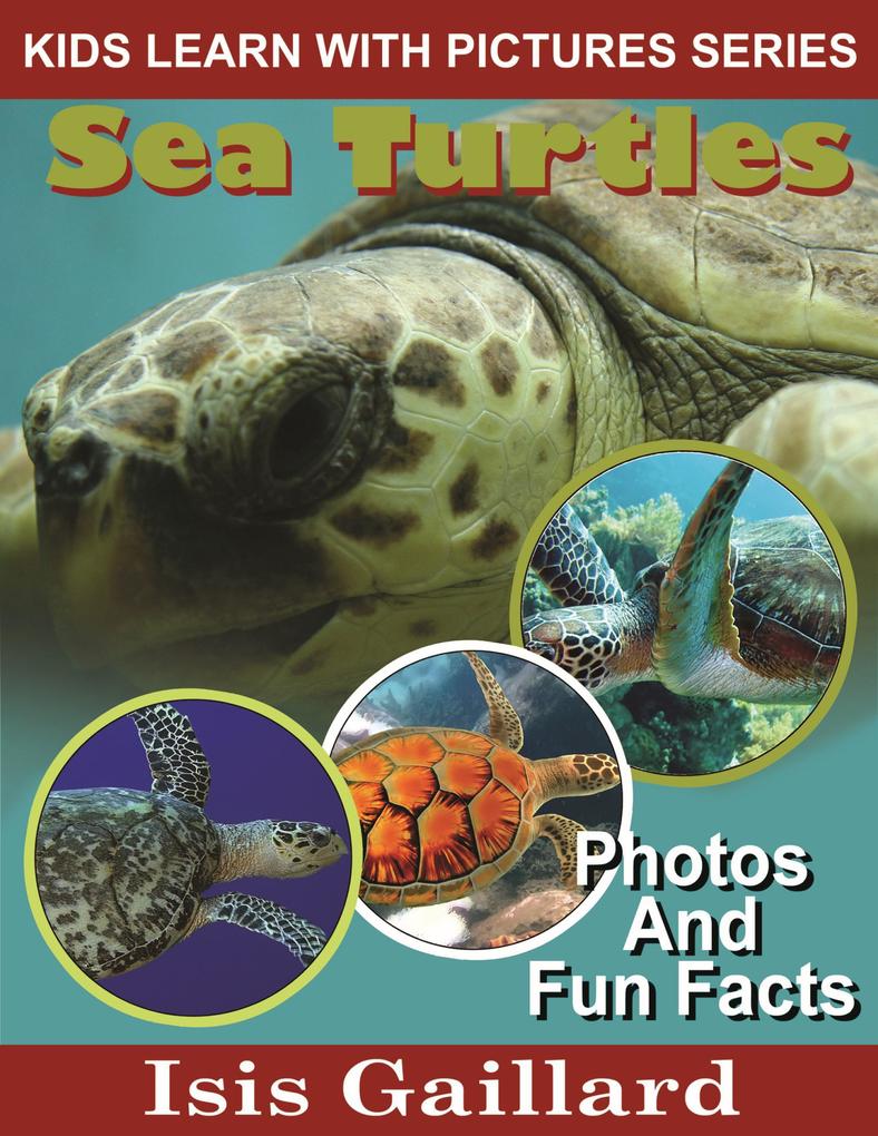 Sea Turtles Photos and Fun Facts for Kids (Kids Learn With Pictures #4)