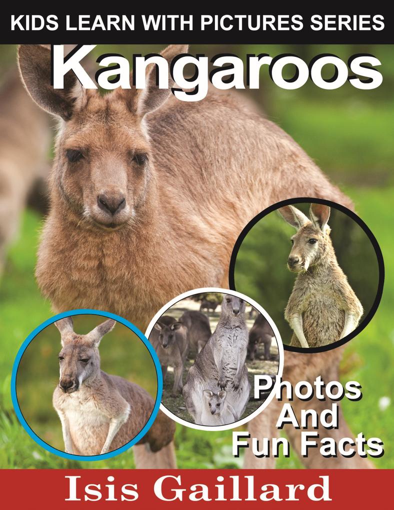 Kangaroos Photos and Fun Facts for Kids (Kids Learn With Pictures #14)