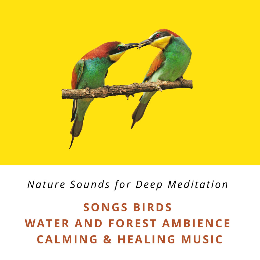 Nature Sounds for Deep Meditation: Song Birds Water & Forest Ambience Bird Calls Calming & Healing Music