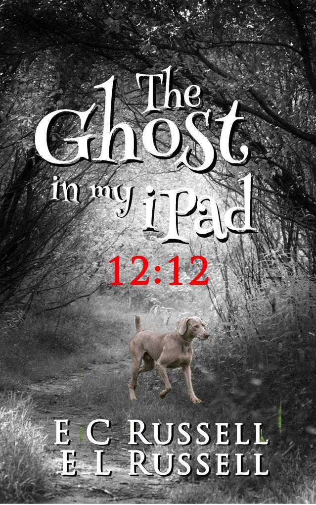 The Ghost in my iPad - 12-12