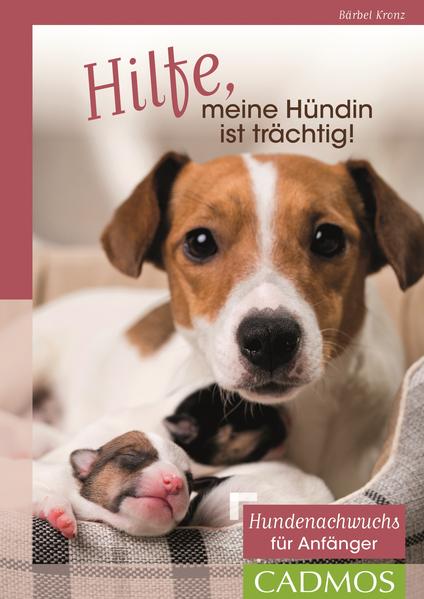 Hilfe meine Hündin ist trächtig!