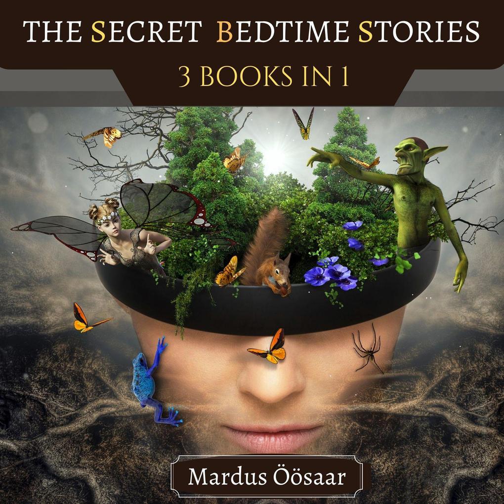 The Secret Bedtime Stories (Preschool Educational Picture Books #3)