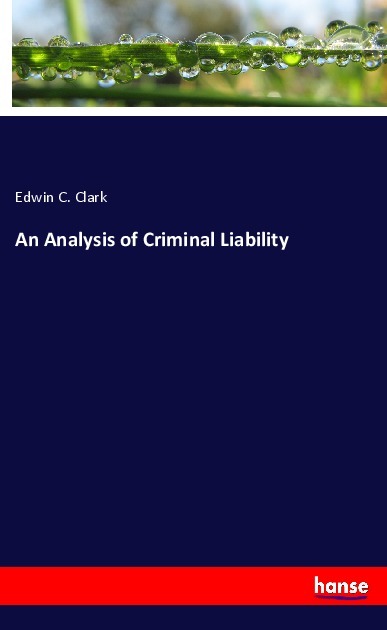 An Analysis of Criminal Liability
