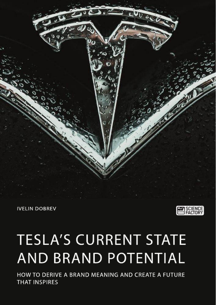 Tesla's current state and brand potential. How to derive a brand meaning and create a future that inspires
