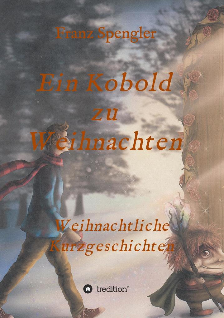 Image of Ein Kobold zu Weihnachten