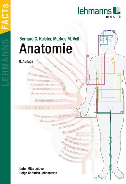 Anatomie