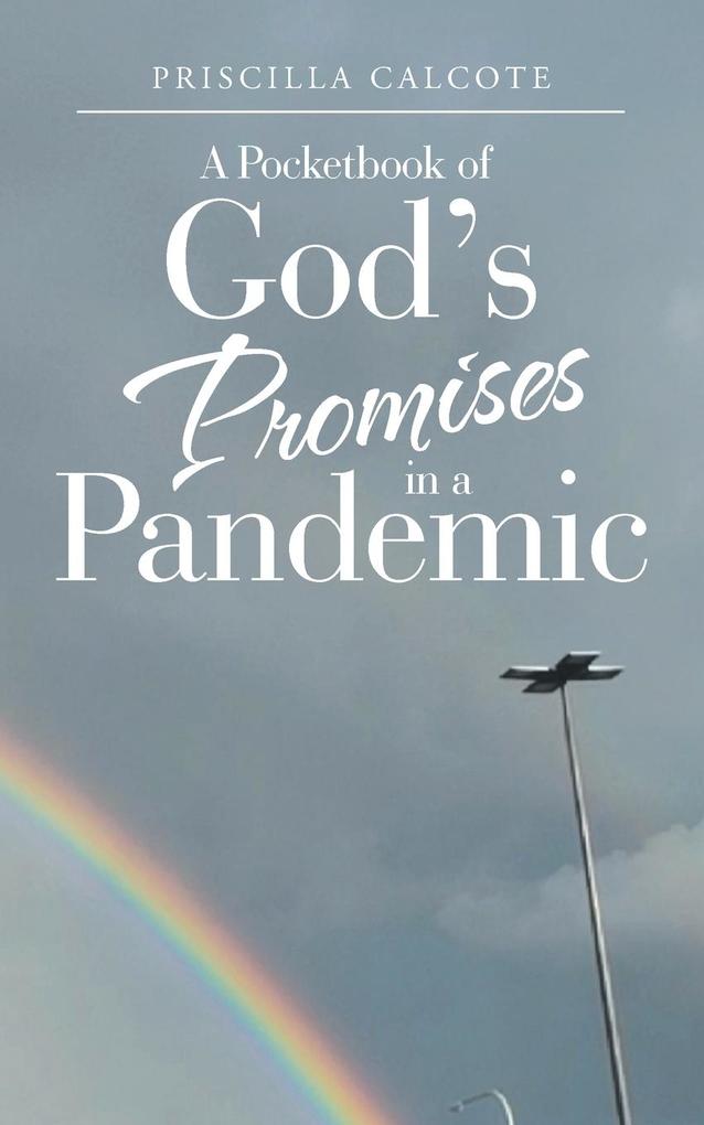 A Pocketbook of God‘s Promises in a Pandemic