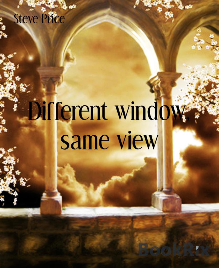 Different window same view