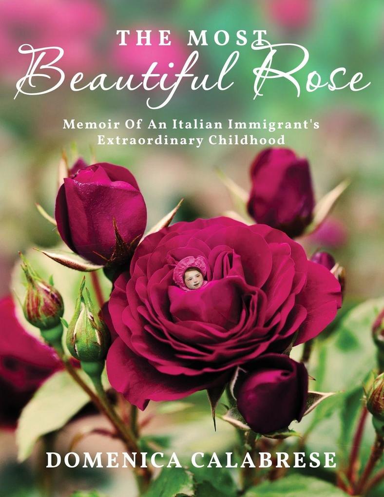 The Most Beautiful Rose