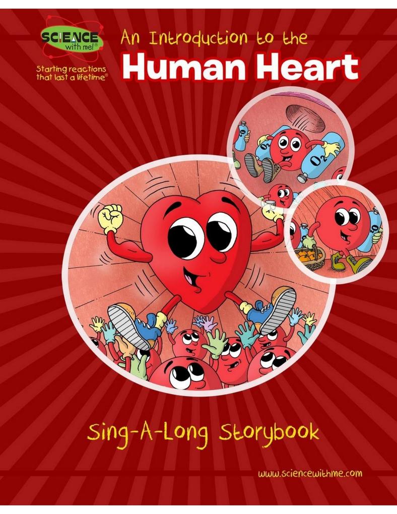 An Introduction to the Human Heart