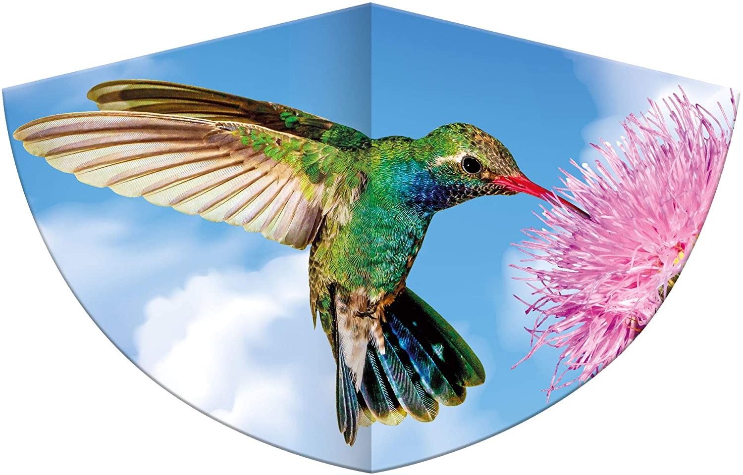 Paul Günther 1178 - Kinderdrachen Kolibri Einleiner-Drachen 75x48 cm