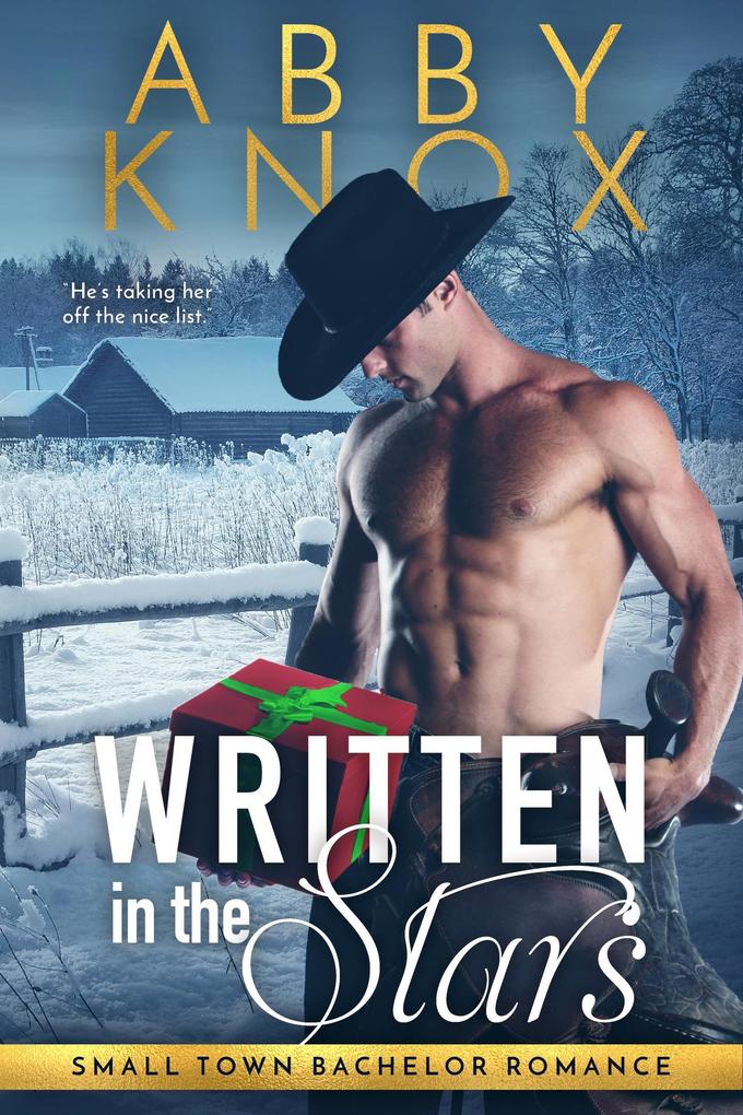 Written in the Stars (Small Town Bachelor Romance #3)