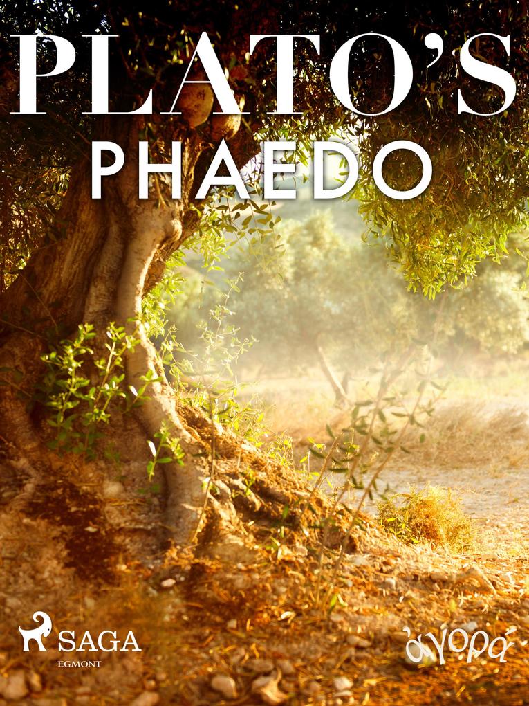 Plato‘s Phaedo