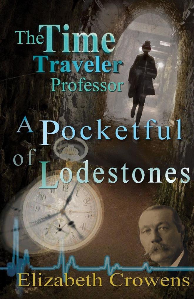 The Time Traveler Professor Book Two