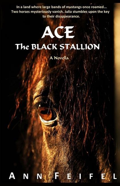 Ace The Black Stallion