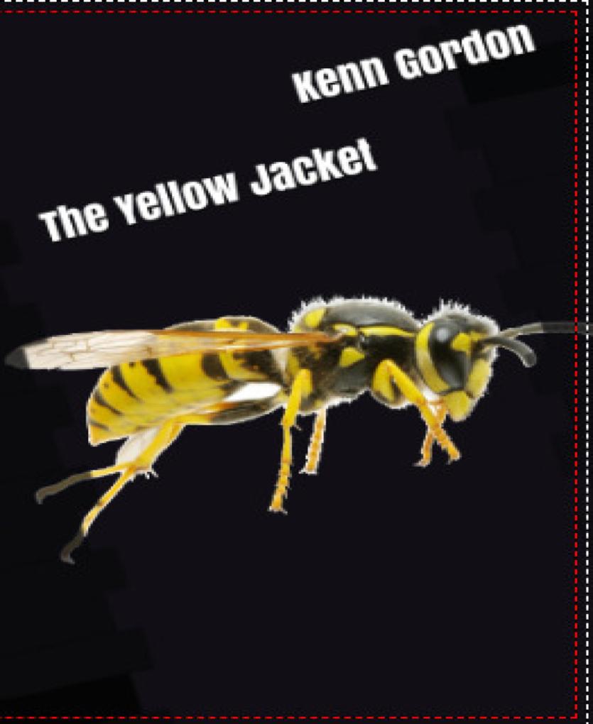 The Yellow Jacket