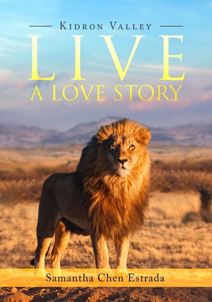 Live a Love Story