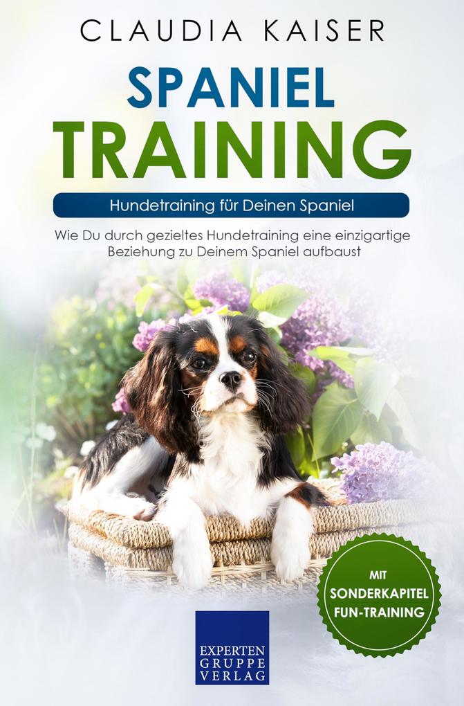 Spaniel Training - Hundetraining für Deinen Spaniel