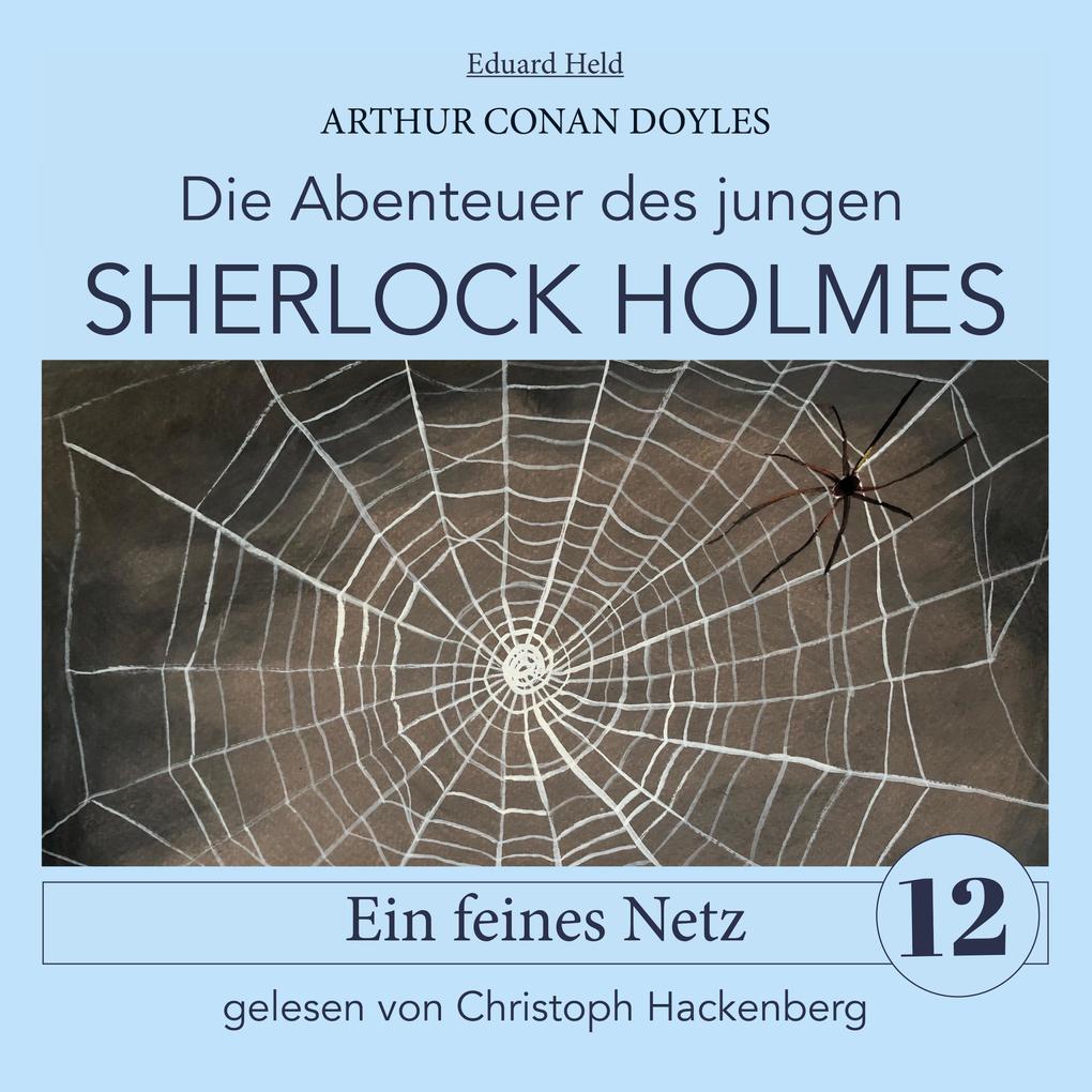 Sherlock Holmes: Ein feines Netz