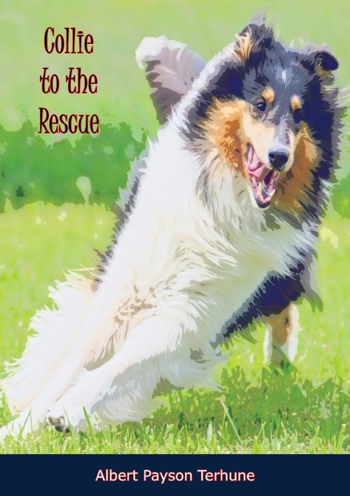 Collie to the Rescue