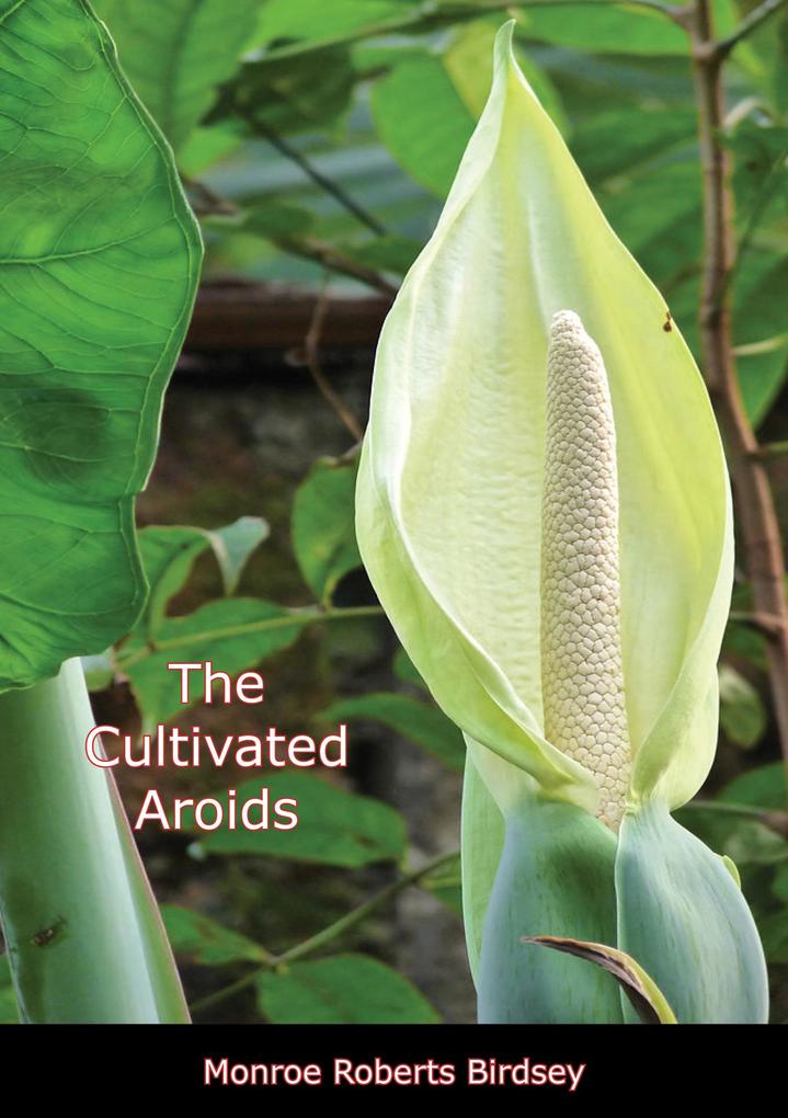 Cultivated Aroids