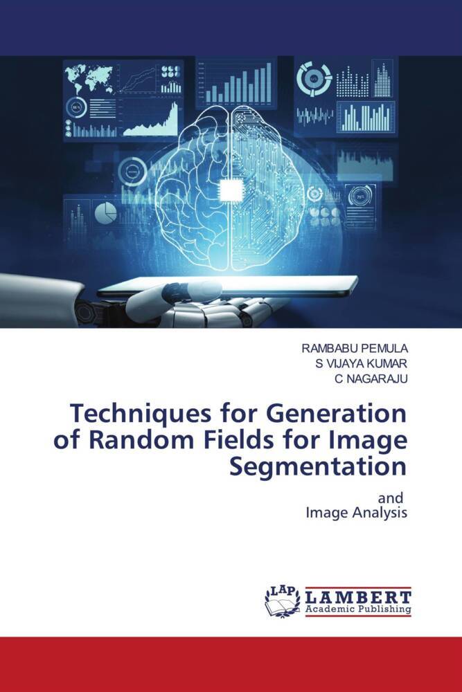 Techniques for Generation of Random Fields for Image Segmentation