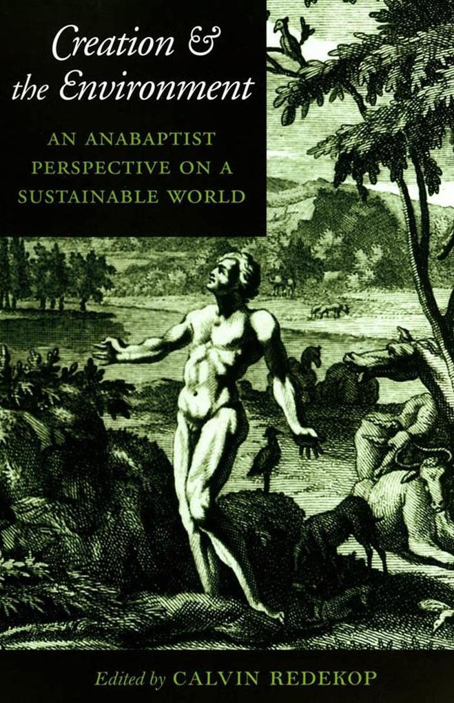 Creation and the Environment