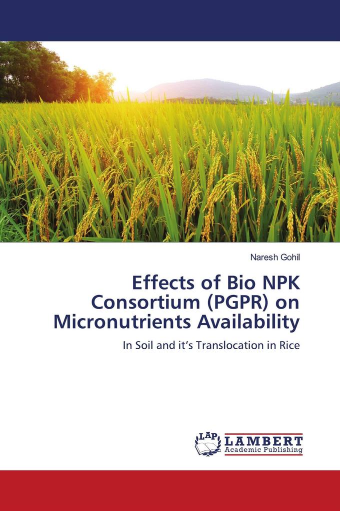 Effects of Bio NPK Consortium (PGPR) on Micronutrients Availability