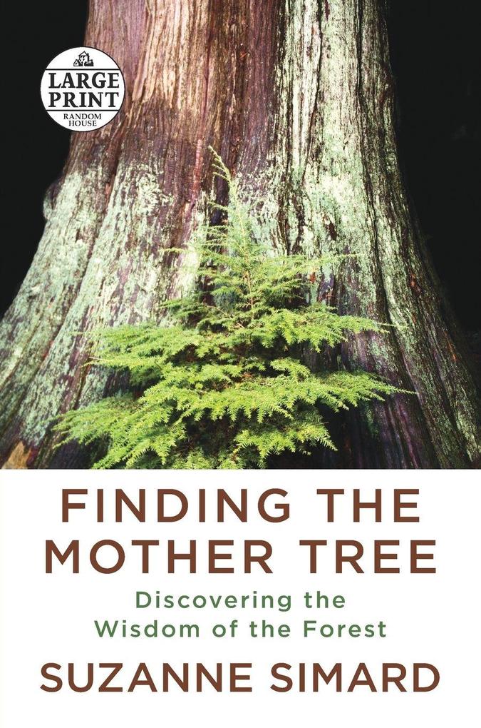 Finding the Mother Tree