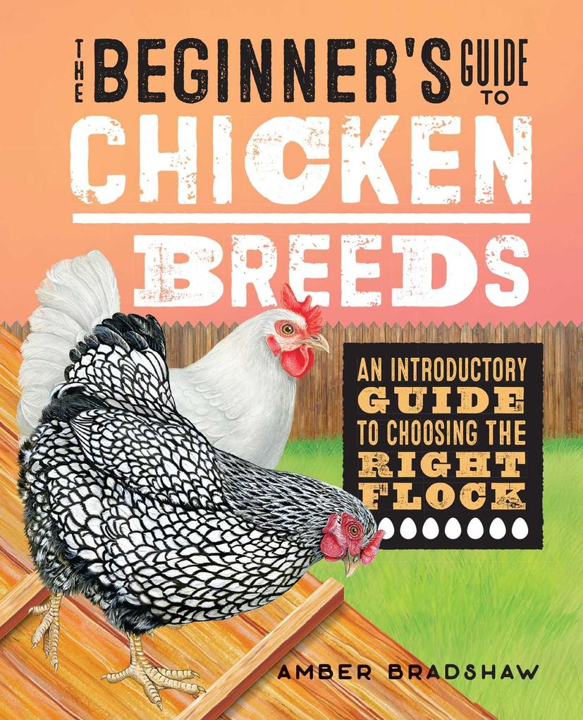 The Beginner‘s Guide to Chicken Breeds
