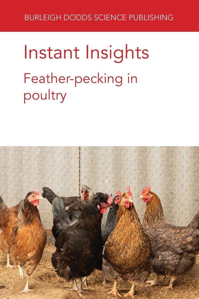 Instant Insights