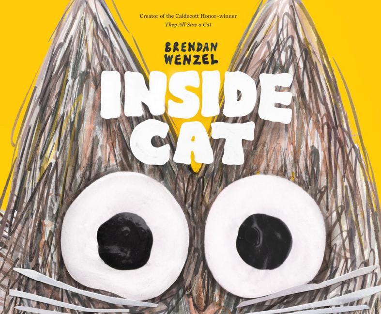 Image of Inside Cat