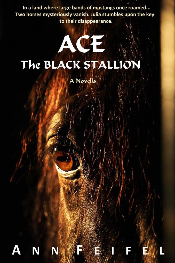 Ace The Black Stallion (Mystery Horse Lover‘s Series #1)