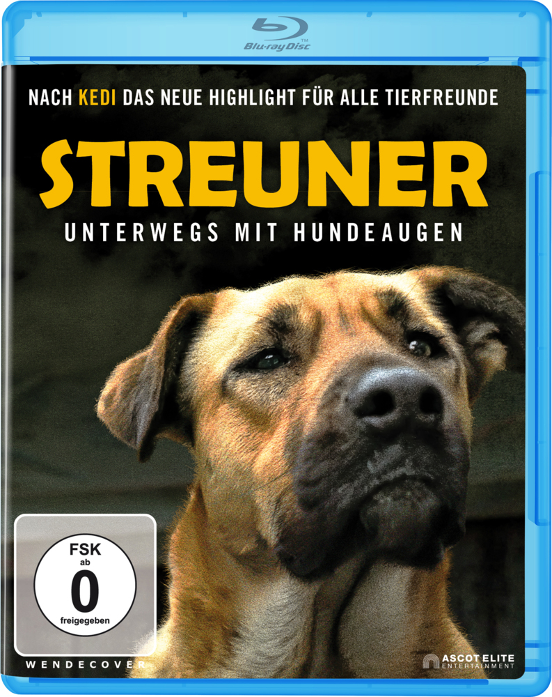 Streuner - Unterwegs mit Hundeaugen