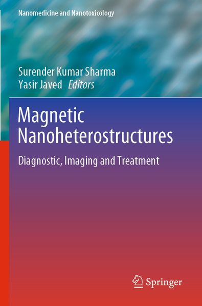 Magnetic Nanoheterostructures