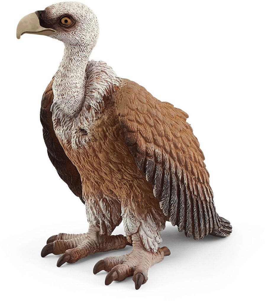 Image of Schleich - Wild Life - Geier