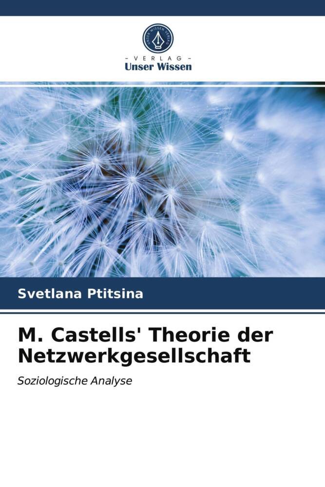 M. Castells' Theorie der Netzwerkgesellschaft