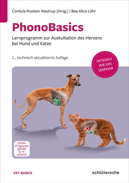 PhonoBasics1 DVD