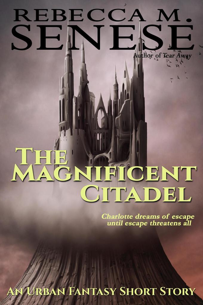 The Magnificent Citadel