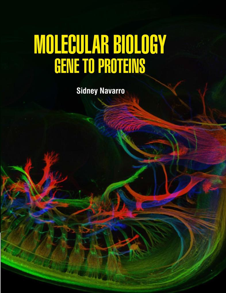 Molecular Biology Gene to Proteins