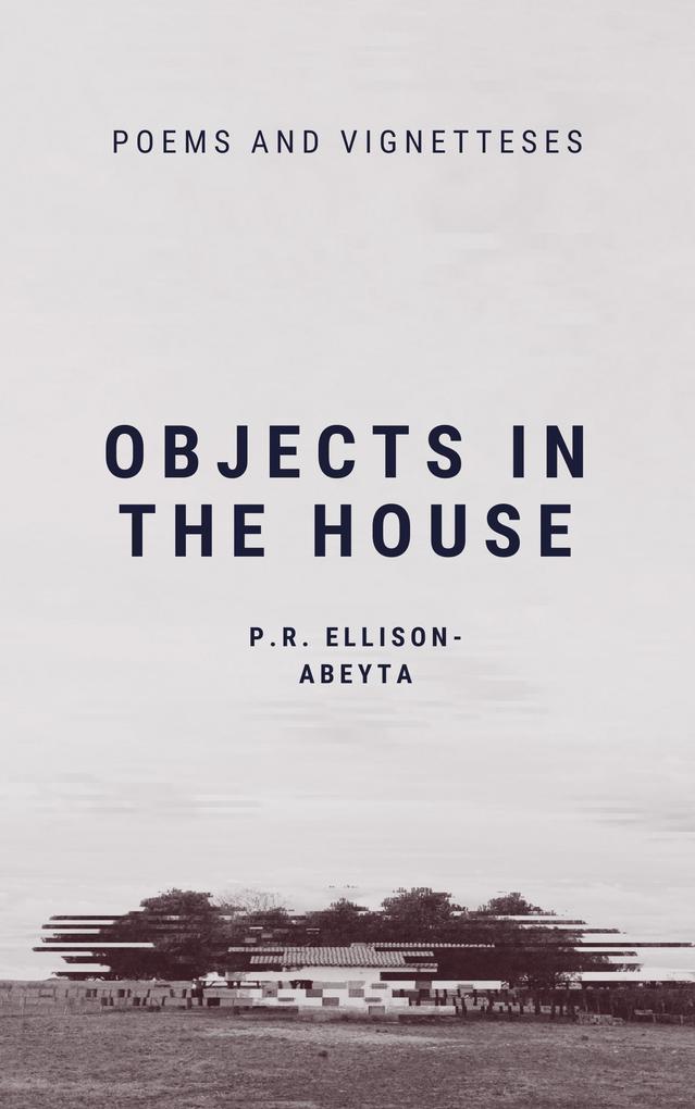 Objects In the House