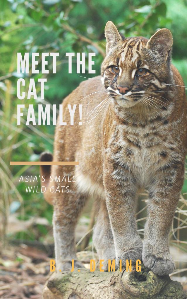 Meet the Cat Family!: Asia‘s Small Wild Cats