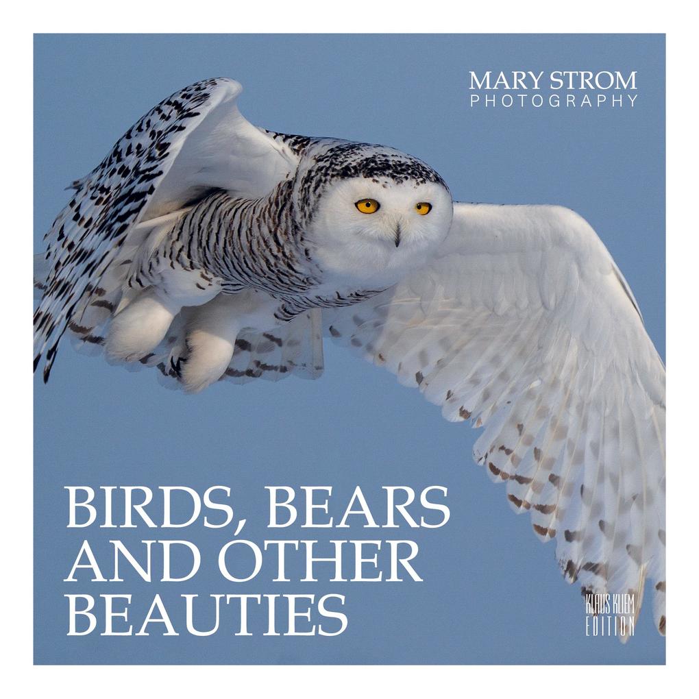 Birds Bears and other Beauties