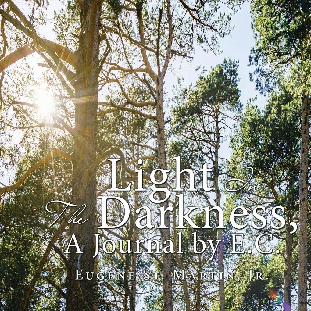 Light in the Darkness a Journal by E.C.