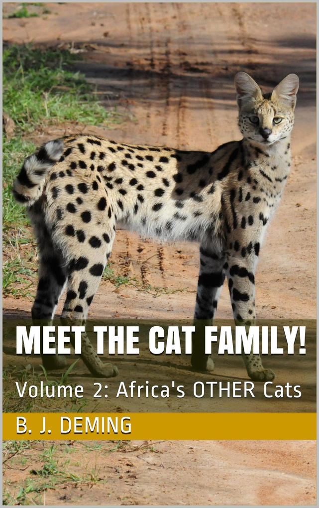 Meet the Cat Family!: Africa‘s Other Cats