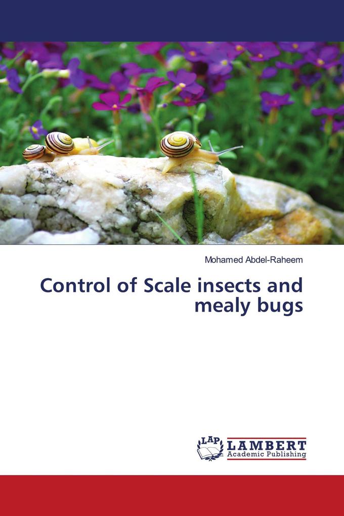Control of Scale insects and mealy bugs